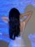 浦莲