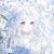 獨(dú)孤雪