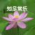 风年有限公司助理