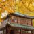 宣雪芬