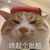 離譜系統(tǒng)