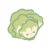 生菜