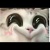 万能人