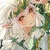 帕洛斯