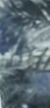 奶奶