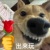 苏又宁
