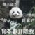司机