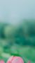 同学a