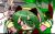 green.轮回