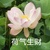 张主任