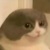 作者