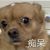 校长