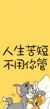 所有人