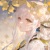 同学2