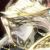伊莱克斯