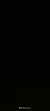 金后爸