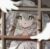 挽颜