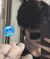 電鰻Alpha