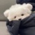 客串