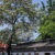 阮榆