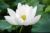無關(guān)人員三號(hào)