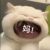 张泽禹妈妈
