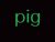 pig