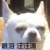 洆洆