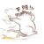 時小七