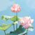 蔓越莓