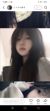 鹿桉