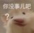 哦哦