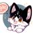 扳尾猫黑松