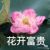 校長(zhǎng)