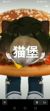 猫宝
