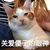 路人乙