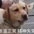 王姐經(jīng)紀人