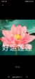 王艳芳
