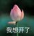 李苒星（作者）
