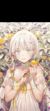 芙洛洛