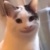 羅主任