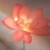 常清秋妈妈