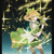 叶星澜