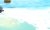 韩清夏