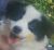 鼠标公主