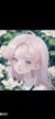 倪晓