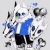 sans