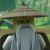 吴大师