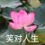 萬能人物牢屎版