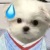 作者